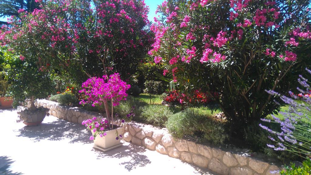 Apartments Fina Crikvenica Exterior foto